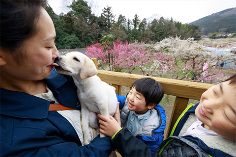 飼育奉仕イメージ