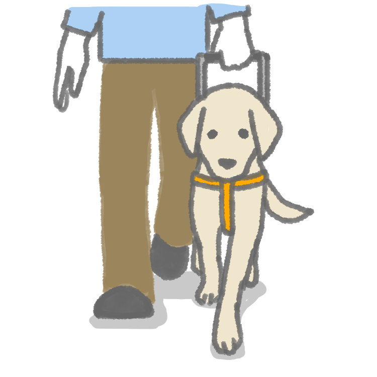 もうどう犬と歩く アイメイト こどもサイト 子供向け盲導犬情報